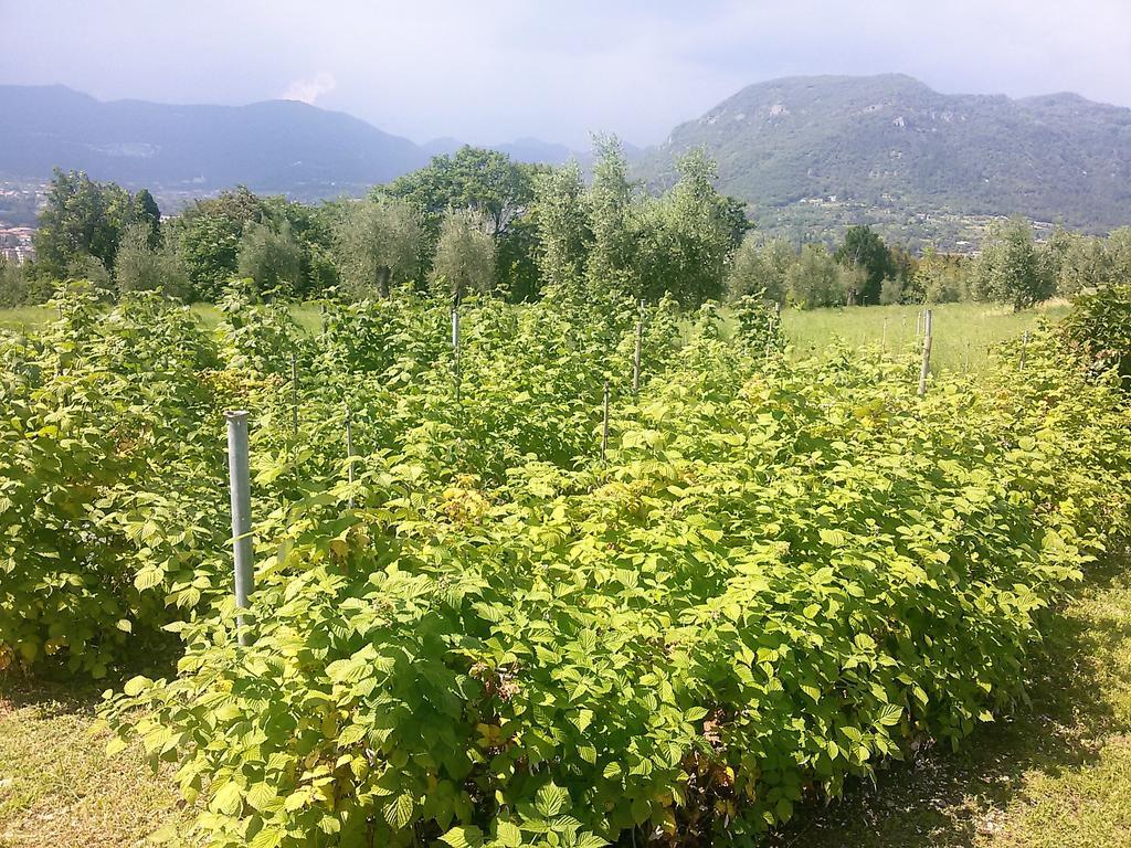 Agroturismo Agriturismo La Scala *